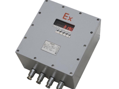 ?XK3190-C8G工業(yè)級防爆秤稱重儀表 防爆控制儀表